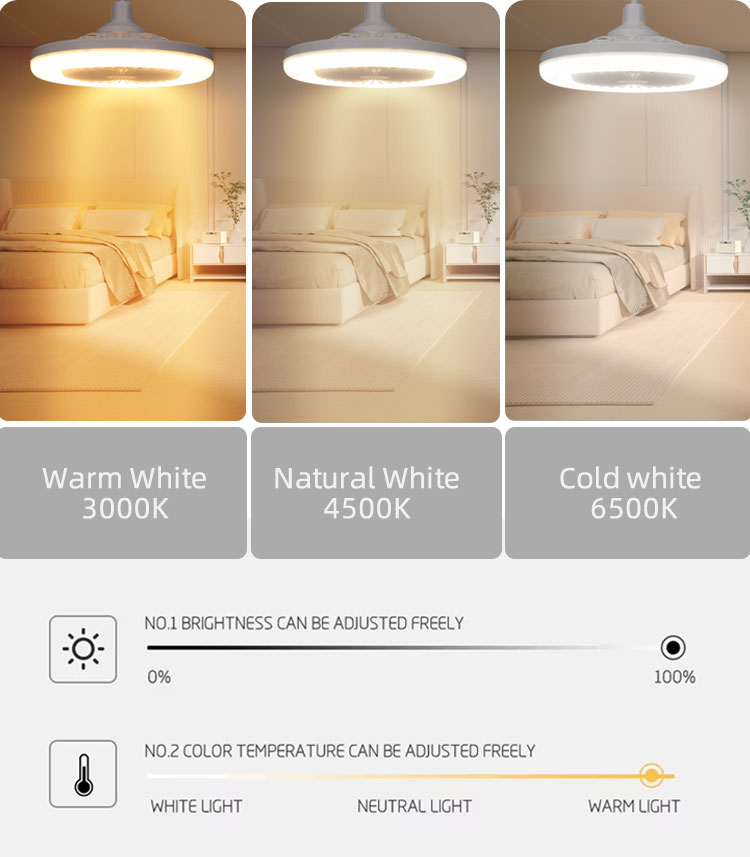 KEOU 30W 50W Ceiling Fan Light